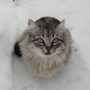 Юлия Репиха